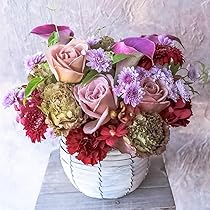 71g+y7xZRyL._AC_UL210_SR210,